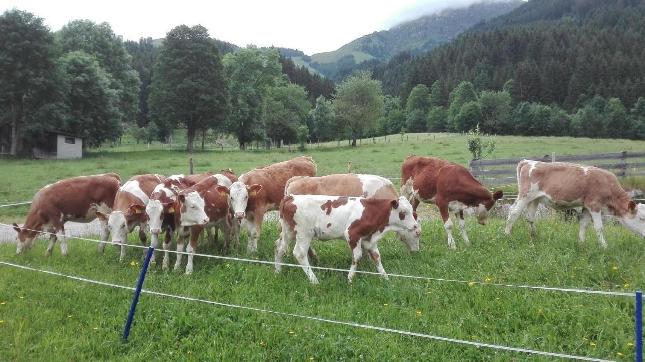 Villa Schiessling Hof à Oberndorf en Tyrol Extérieur photo