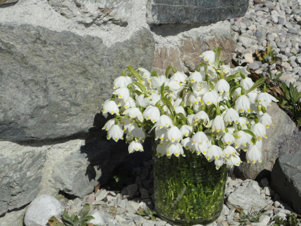 Villa Schiessling Hof à Oberndorf en Tyrol Extérieur photo