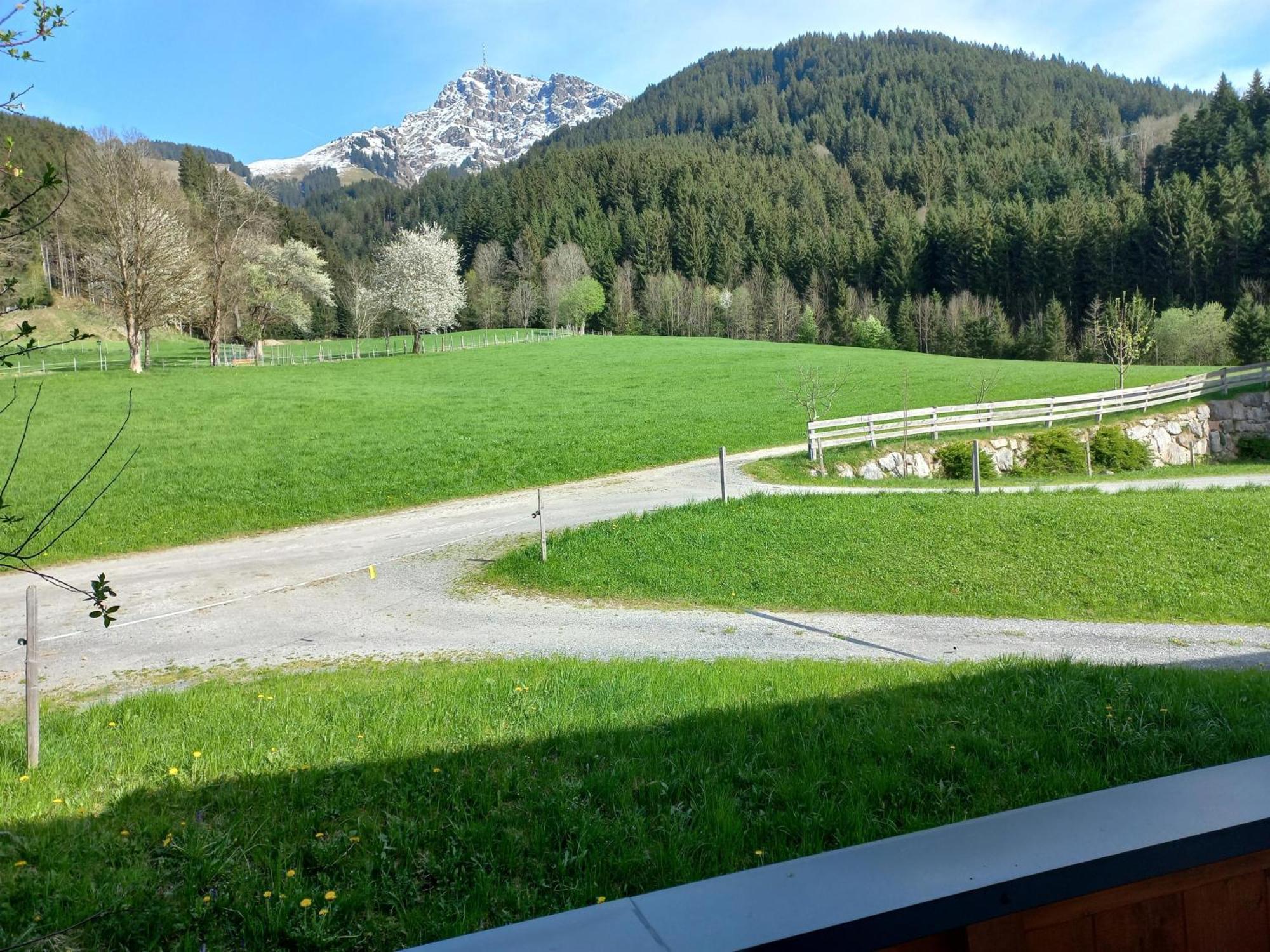 Villa Schiessling Hof à Oberndorf en Tyrol Extérieur photo